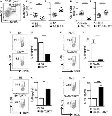 TLR7 Negatively Regulates B10 Cells Predominantly in an IFNγ Signaling Dependent Manner